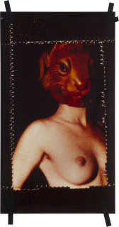 Christine Webster Musk, 1994; cibachrome; 182 x 103 cm; enquire