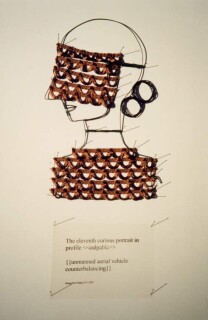 The Armory Show Jacqueline Fraser, 2002; from the series The eleventh curious portrait in profile > {{unmanned ariel vehicle counterbalancing}}; Mixed media; 85 x 35 cm; enquire