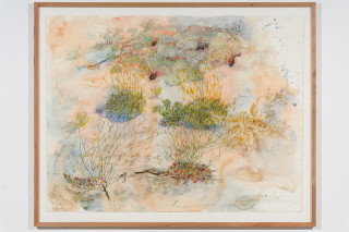 John Wolseley Yellow-throated miner sucking nectar from upside–down plants as Burrowing bettongs sleep the day away in their mazy warrens, 2025; watercolour and graphite on paper; 116 x 152 cm; 134 x 168 cm (framed); enquire