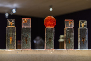 Mikala Dwyer The Divisions, Subtractions and Additions: Séance for the Spiderworms, 2026; wood, plastic, resin, bronze, ceramic, insects, silk and silicone; dimensions variable; enquire