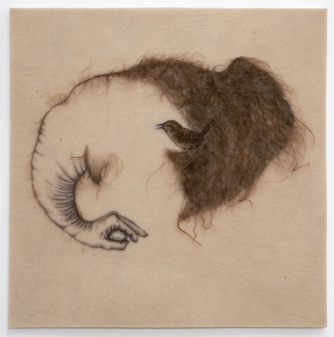 Patricia Piccinini Entwined, 2010; Silicone, fibreglass, human hair; 70 x 70 x 7 cm; Unique work; Enquire