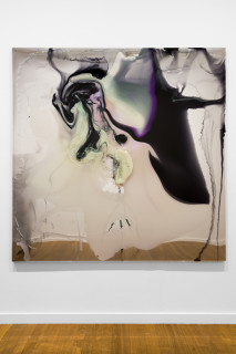 installation view; Dale Frank Between the cheeks dreaming of another continent over the horizon, gripping, swimming in the streets, he always watched other mens backsides walking, coveting as watchers do, 2026; colour powder pigments in Epoxyglass, Epoxyglass, on perspex; 200 x 200 cm; enquire