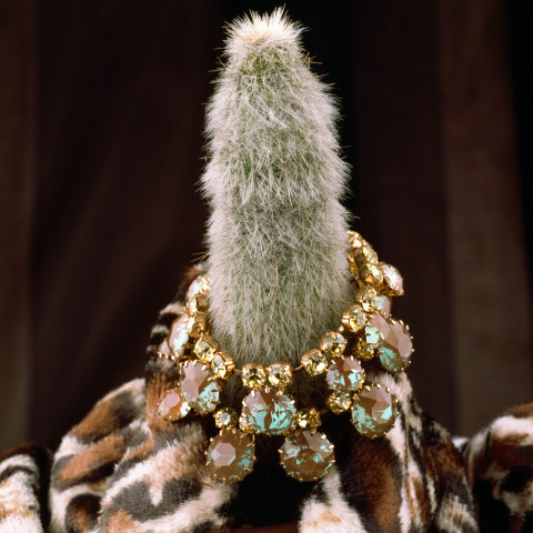 Paul Ferman Untitled (1N18), 1996; colour photograph; 127 x 102 cm; enquire