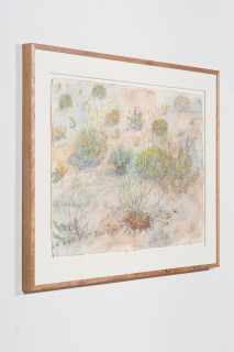 John Wolseley Tracks at Watikinpirri - mulgaras and honeyeaters pollinate the upside-down plants, 2025; watercolour and graphite on paper; 64 x 101 cm; 94 x 125 cm (framed); enquire