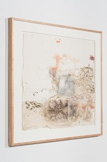 John Wolseley Burrowing Bettongs  - Newhaven Wildlife Sanctuary, 2025-26; graphite, etching and woodblock prints on paper; 72 x 83 cm; 93 x 106 cm (framed); enquire