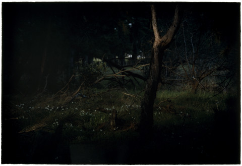 Bill Henson Untitled #21, 2005-06; CL SH541 N2; Type C photograph; 127 x 180 cm; (paper size); Edition of 5 + AP 2; Enquire