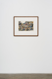 installation view; John Wolseley Great Desert Skinks I, 2026; woodcut and watercolour on Tengucho paper; 32 x 48 cm; 61 x 77 cm (framed); Edition of 20; enquire