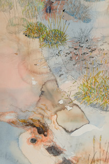 John Wolseley Great desert skink commune – basking mound, birthing pool and defecatorium (detail), 2025; watercolour and graphite on paper; 118 x 154 cm; 134 x 169 cm (framed); enquire