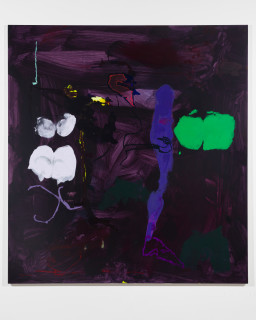 Tom Polo night garden (devour in the dark), 2026; acrylic Flashe on polycotton; 213 x 198 cm; enquire
