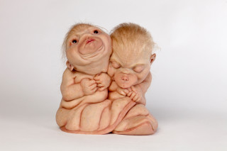 Patricia Piccinini The Loafers, 2018; silicone, resin and hair; 26 x 25.8 x 25 cm; Edition of 6 + 2 AP; enquire