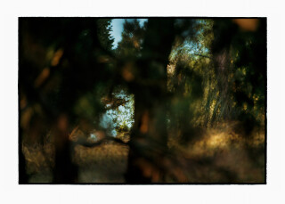 Bill Henson Untitled, 2008-09; CL SH524 N23; archival inkjet pigment print; 127 x 180 cm; Edition of 5 + AP 2; enquire