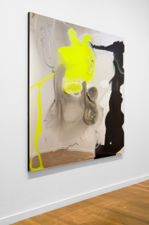 installation view; Dale Frank Jeff and Adam have a wonderfull family having over the last 20 years found four boys from three States, always on Christmas holidays, and two have turned out to be good lookers, 2026; colour powder pigments in Epoxyglass, Epoxyglass, on perspex; 200 x 200 cm; enquire