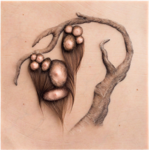 Patricia Piccinini Orchard, 2012; Silicone, fibreglass and human hair; 70 x 70 x 7 cm; enquire