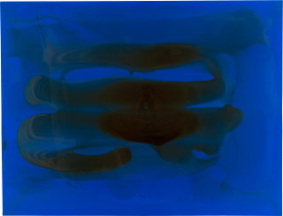 Dale Frank 11. Xavier Samuel, 2009; varnish on canvas; 200 x 260 cm; enquire