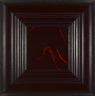 Anne MacDonald Above and Below the Grave (E), 1990; Type C colour photograph; 31 x 31 cm; enquire