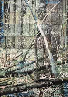 Imants Tillers Critical Forests 2, 2022; synthetic polymer paint, gouache on 32 canvasboards; 201 x 141 cm; enquire