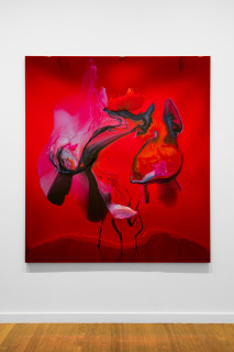 installation view; Dale Frank His eyes collided side to side in a dance floor disco embrace, his receding dick shuddered up and down, his exhausted breast strained, his sinuous muscles sagging balloons like an old ladies underarm flab, the vanilla cream filling of his life licked off, 2026; colour powder pigments in Epoxyglass, Epoxyglass, on perspex; 200 x 180 cm; enquire