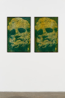Daniel Boyd Untitled (WIHSTSICSBS), Untitled (STTSTBFU), 2025; oil, charcoal and archival glue on canvas; diptych; 91.5 x 61 cm each; enquire