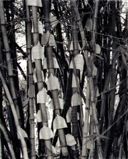 Simryn Gill #8, 1996-98; Silver gelatin photograph; 120 x 95 cm; Set of 16 images, edition of 15; Edition of 15; enquire