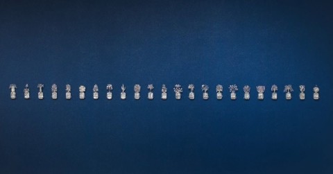 EXHIBITION: Fiona Hall's series 'Paradisus Terrestris' on display at Eastern Riverina Arts