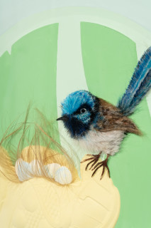 Patricia Piccinini Superb Fairy Wren (detail), 2025; silicone, fibreglass, hair; 57 x 57 cm; enquire
