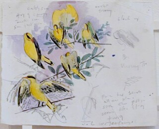 John Wolseley Black-naped orioles, 1998; watercolour on paper; 17.5 x 20 cm; enquire