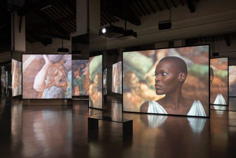 Isaac Julien 'All That Changes You. Metamorphosis' opens at Palazzo Te, Italy
