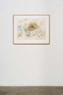installation view; John Wolseley Greater bilby burrow, 2026; watercolour and graphite on paper; 55 x 75 cm; 77 x 96 cm (framed); enquire