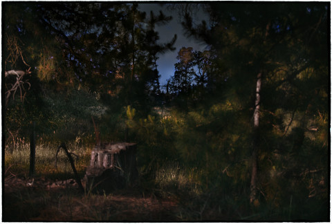 Bill Henson Untitled, 2018-19; CL GW SH5 N16; archival inkjet pigment print; 127 x 180 cm; edition of 5 + 2 AP; Enquire
