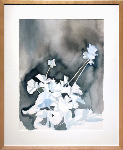 Glenn Sorensen Geranium, 2011; watercolour on paper; 49.5 x 40.5 cm; enquire