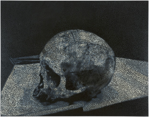 Daniel Boyd Untitled (TFABG), 2017; oil and archival glue on linen; 142.5 x 183 cm; enquire