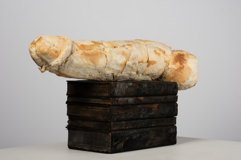 Fiona Hall Relic III, 2024; bread and burnt books; 28 x 46 x 18 cm; enquire