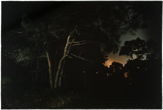 Bill Henson Untitled #37, 2000-01; CL SH441 N20; type C photograph; 127 x 180 cm; Edition of 5 + AP 2; Enquire