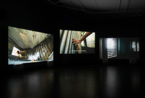 <p>Installation view, <i>A Marvellous Entanglement</i>, Samstag Museum of Art, University of South Australia, Photo: Grant Hancock.    </p>