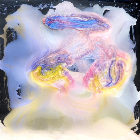 Dale Frank Bert lives alone, after doing time in the military in the Middle East - likes being alone - he does not draw his curtains - further observation, 2022; Colour pigments in Epoxyglass, Epoxyglass on Perspex; 200 x 200 cm; enquire