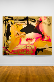 installation view; Dale Frank Lionel and Jake have an enormous collection of Christmas albums and singles, 2025; colour pigments in epoxyglass, epoxyglass, on perspex; 200 x 260 cm; enquire