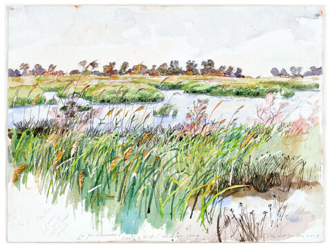 John Wolseley La Palissade - Bursts of Cetti's Warbler song, 2009; watercolour on paper; 31 x 41 cm; enquire
