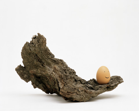 Nell Lookout, 2004; egg, marker, wood; 20 x 31.5 x 20.5 cm; enquire