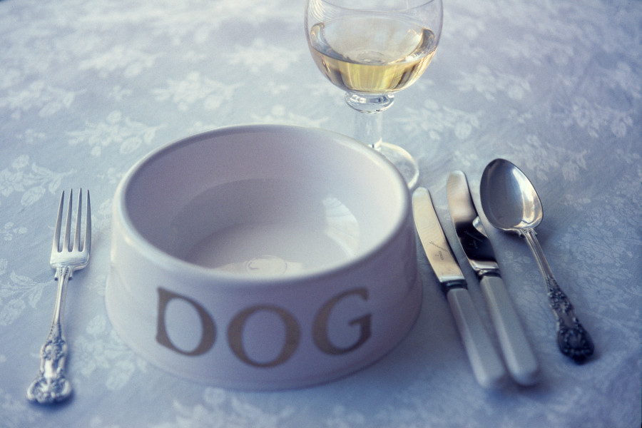 Carol Rudyard Visions of Xes, 1991; video installation; 12 minutes 45 seconds; enquire