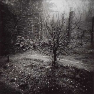 Fiona Hall Pett Level, England, 1978; gelatine silver photograph; 28 x 28 cm; enquire