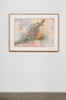 installation view; John Wolseley 'The other side of paradise' - Princess Parrot and the last Paradise Parrot, 2026; watercolour and graphite on paper; 70 x 100 cm; 95 x 125 cm (framed); enquire