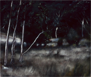 Louise Hearman Untitled #  1044, 2003; oil on masonite; 54 x 64 cm; enquire