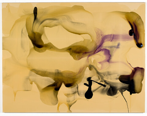 Dale Frank 10. Dwarfed by circumstance always surrounded by a culture that to know what is radical looks over its shoulder, that to know what is happening its what was interesting last time., 2008; varnish on canvas; 200 x 260 cm; enquire