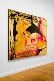 installation view; Dale Frank Lionel and Jake have an enormous collection of Christmas albums and singles, 2025; colour pigments in epoxyglass, epoxyglass, on perspex; 200 x 260 cm; enquire