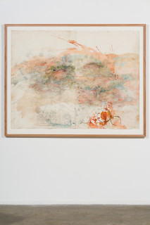 installation view; John Wolseley Great desert skink colony with map of basking mound, birthing pool and defecatorium, 2025; watercolour, graphite, charcoal and ink on paper; 117 x 153 cm; 135 x 169 cm (framed); enquire